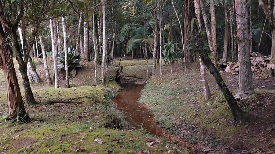 Chácara com Rio e Pomar